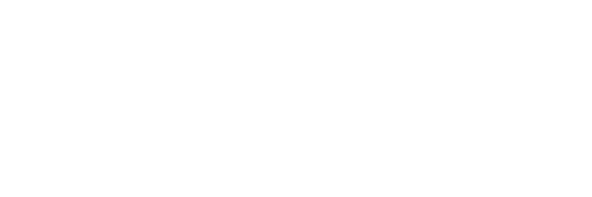 Diplomado Internacional Máster Top
